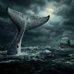 Mobydick