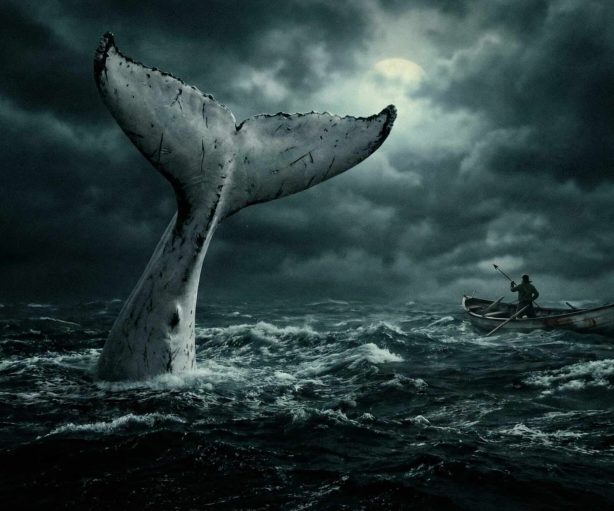 Mobydick
